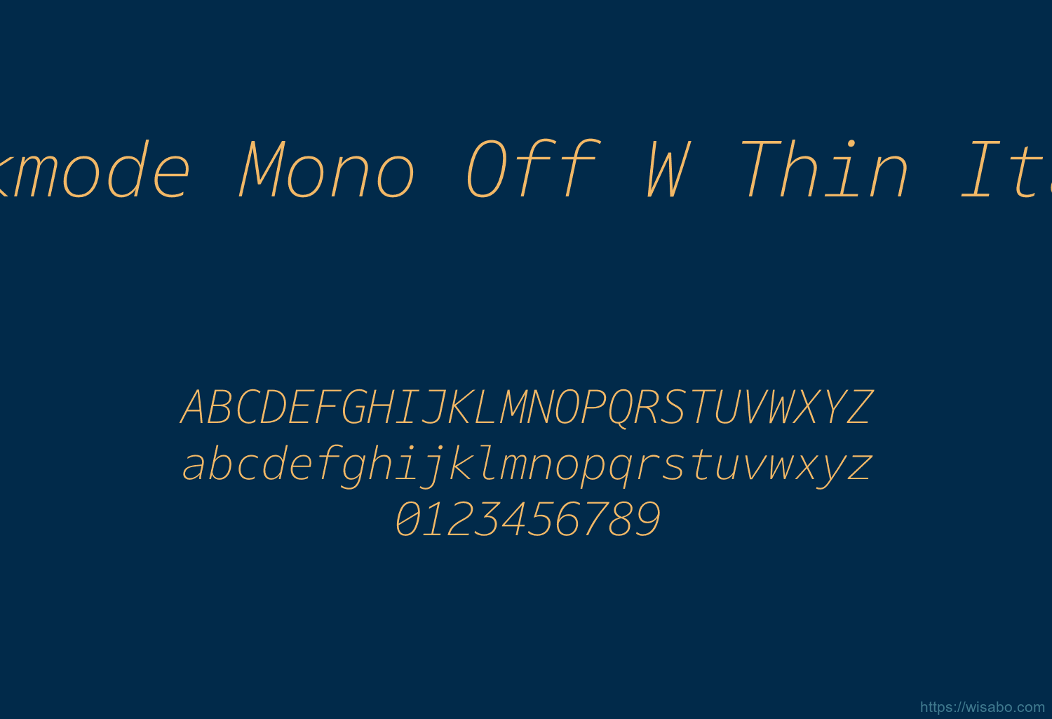 Darkmode Mono Off W Thin Italic