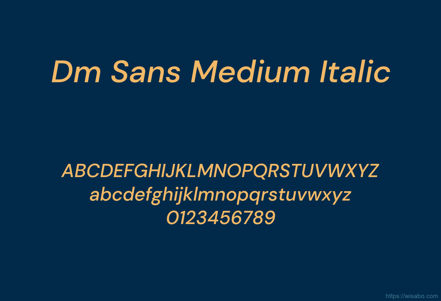 Dm Sans Medium Italic