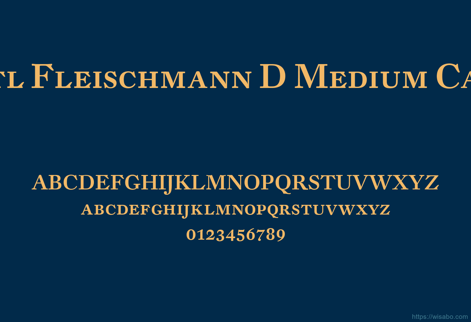 Dtl Fleischmann D Medium Caps