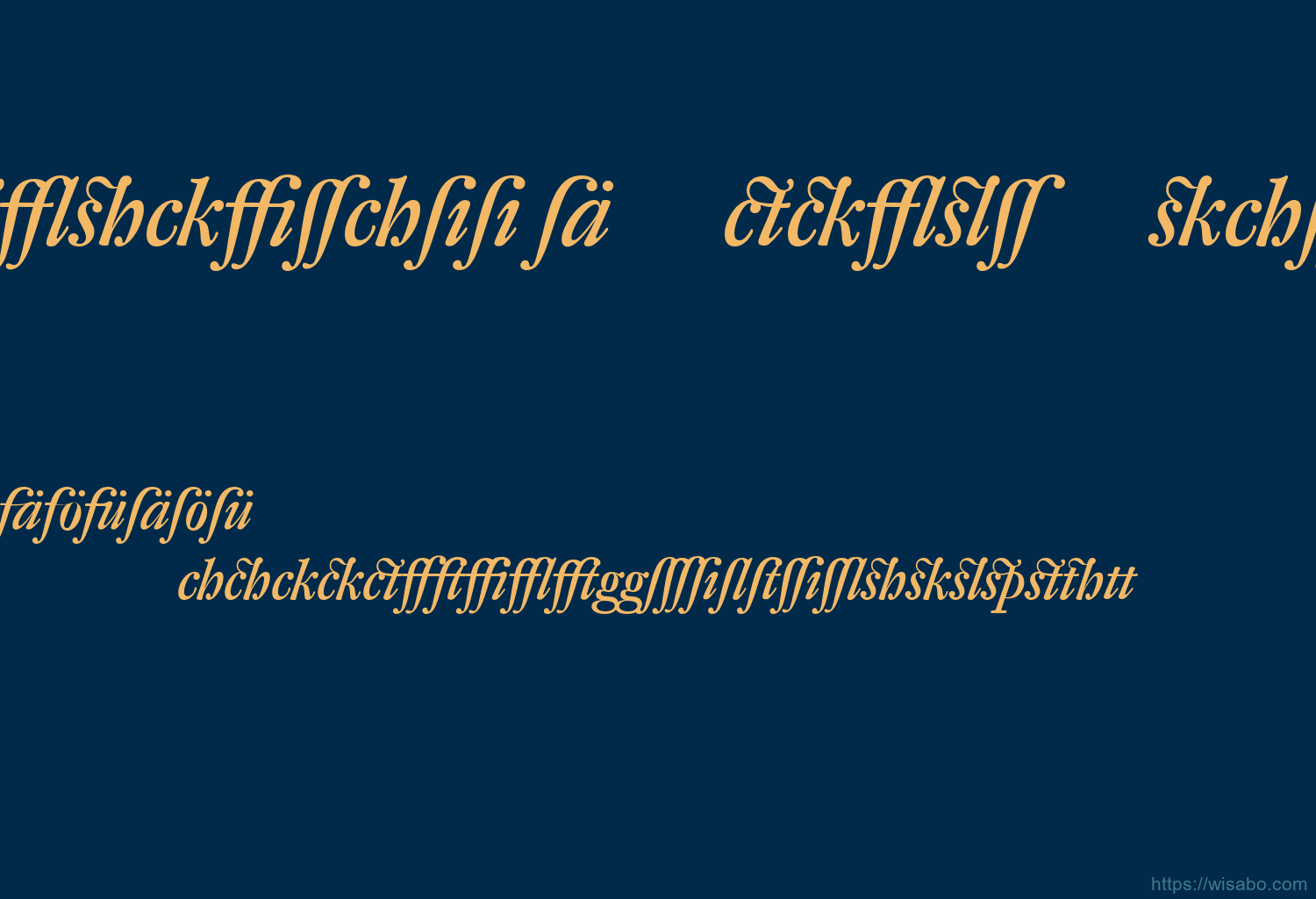 Dtl Fleischmann D Medium Italic Alt