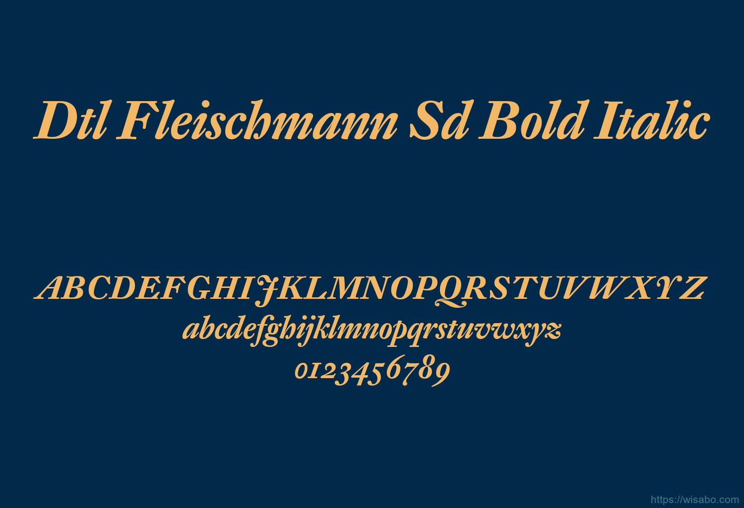 Dtl Fleischmann Sd Bold Italic