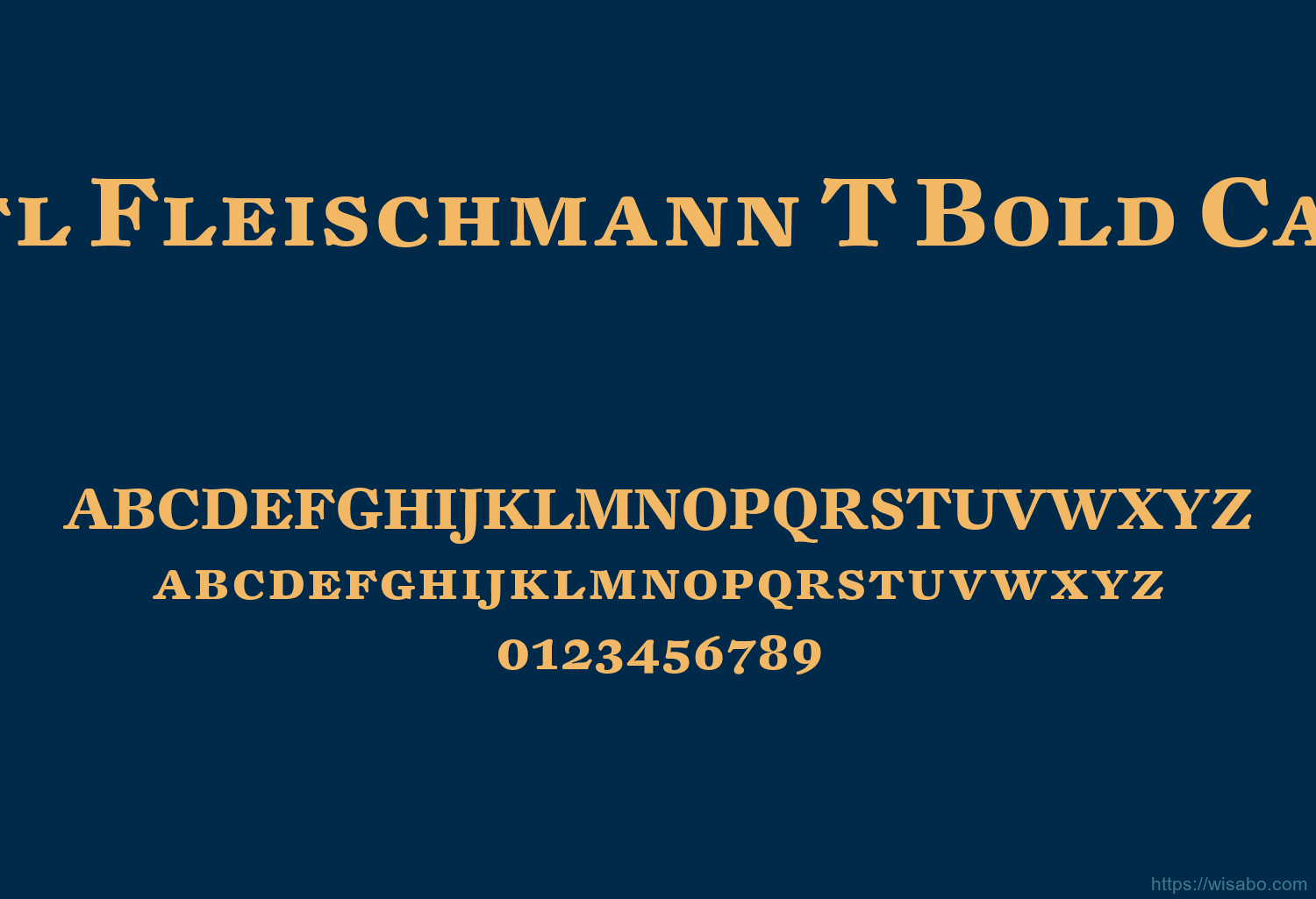 Dtl Fleischmann T Bold Caps