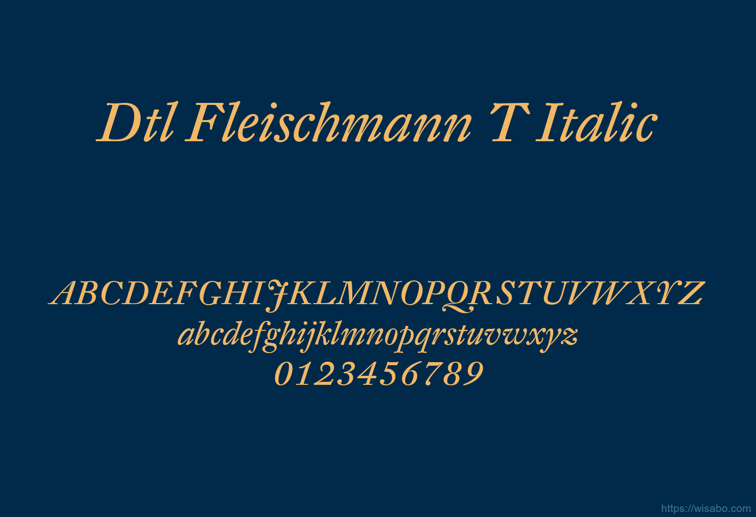 Dtl Fleischmann T Italic