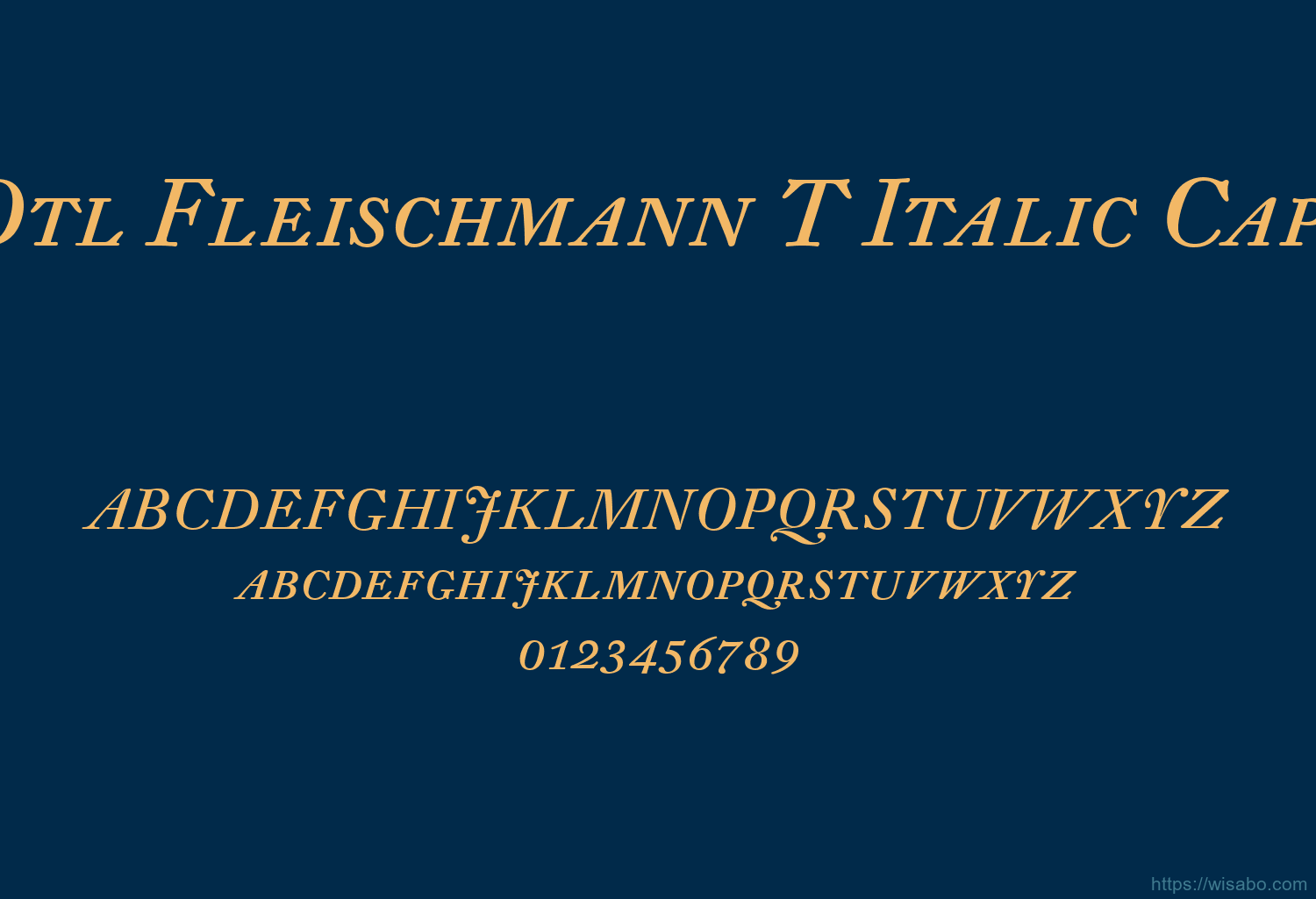 Dtl Fleischmann T Italic Caps