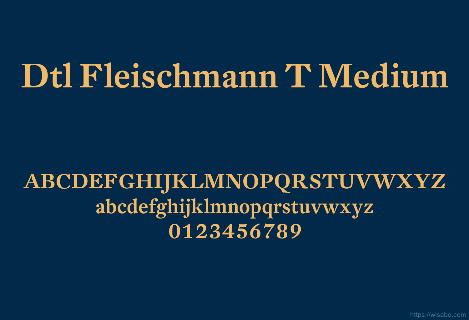 Dtl Fleischmann T Medium