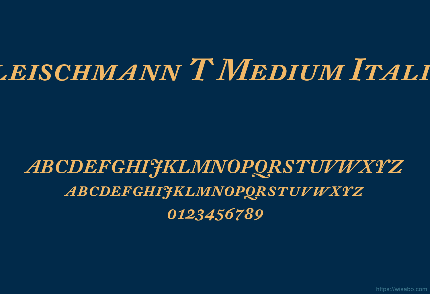 Dtl Fleischmann T Medium Italic Caps