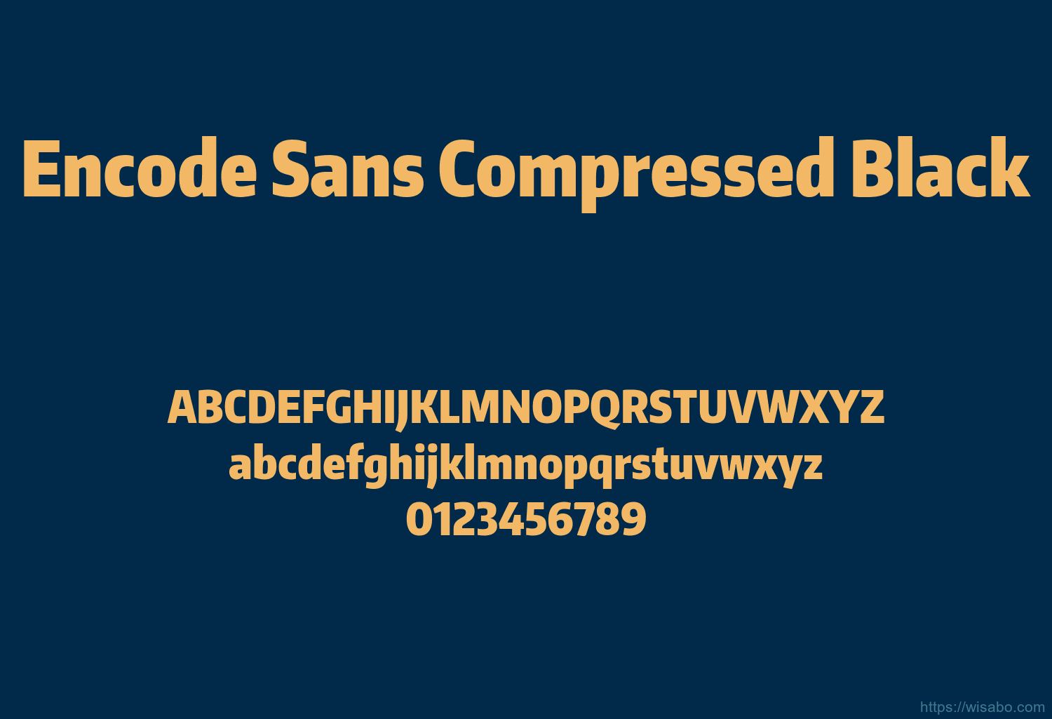 Encode Sans Compressed Black