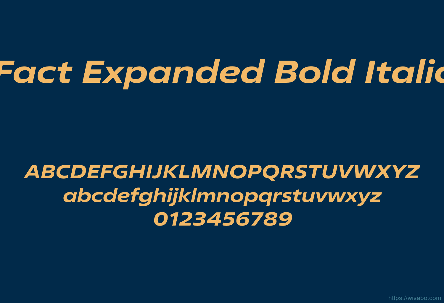 Fact Expanded Bold Italic