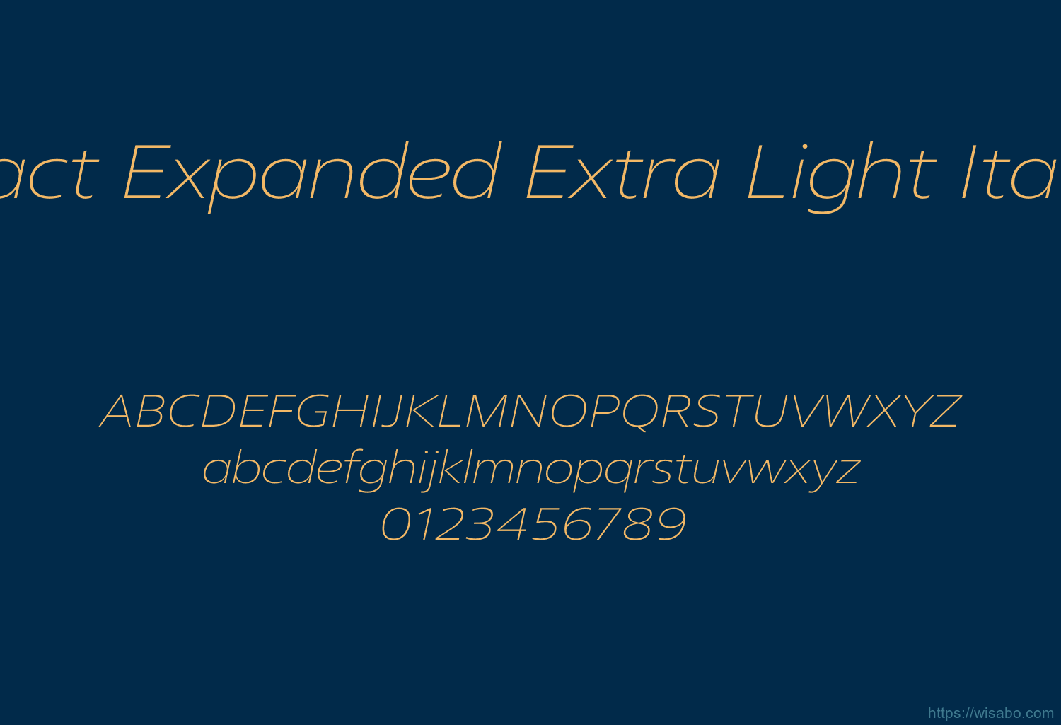 Fact Expanded Extra Light Italic