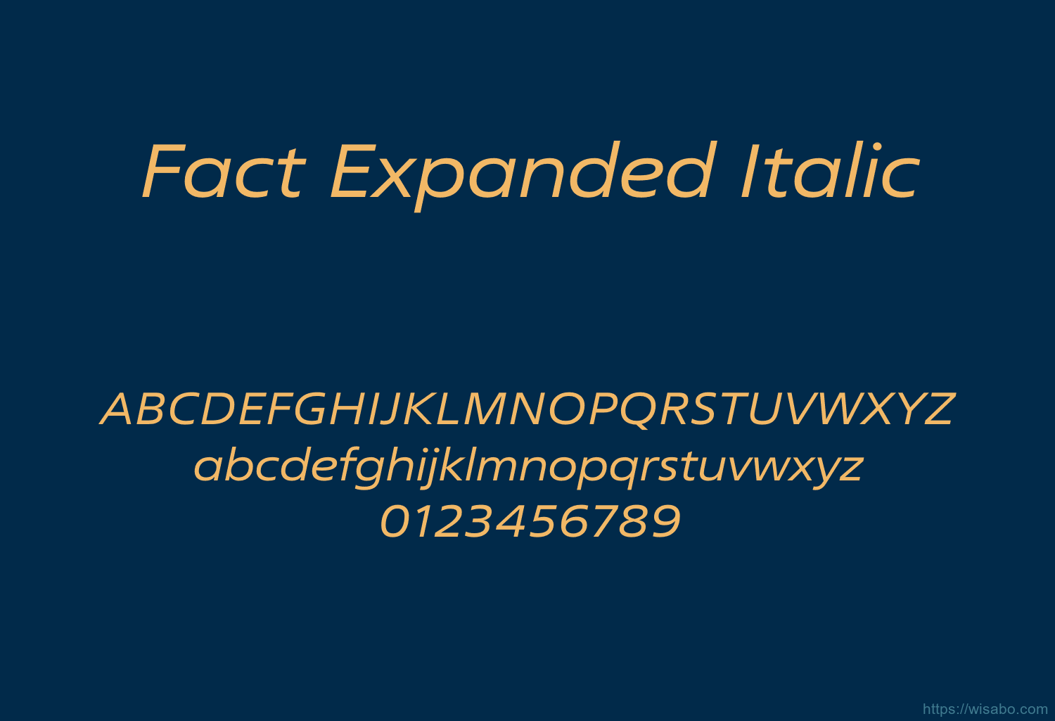 Fact Expanded Italic