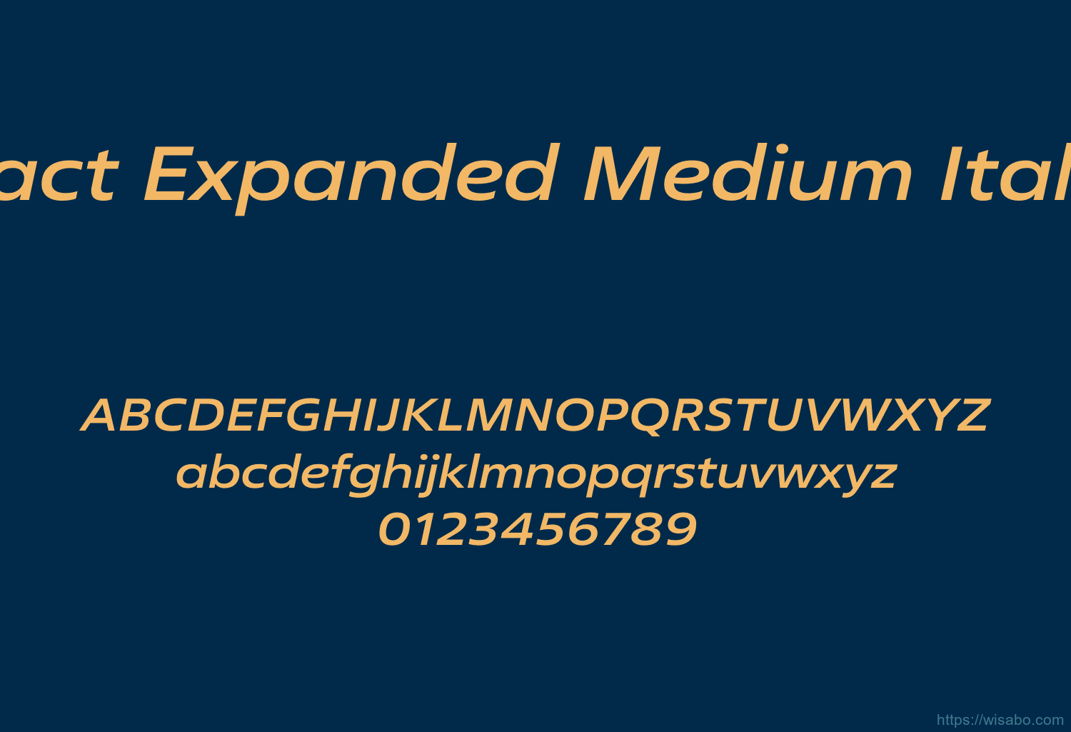 Fact Expanded Medium Italic