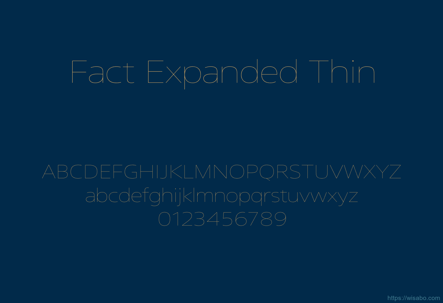Fact Expanded Thin