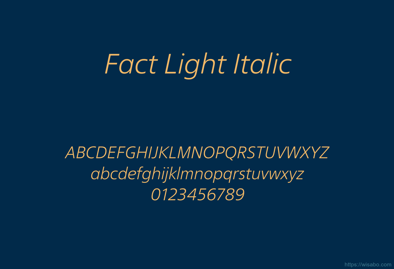 Fact Light Italic