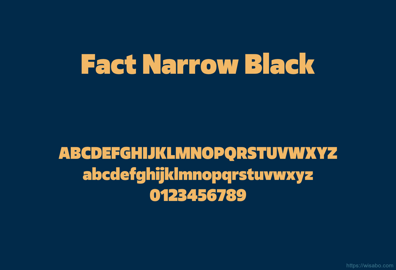 Fact Narrow Black