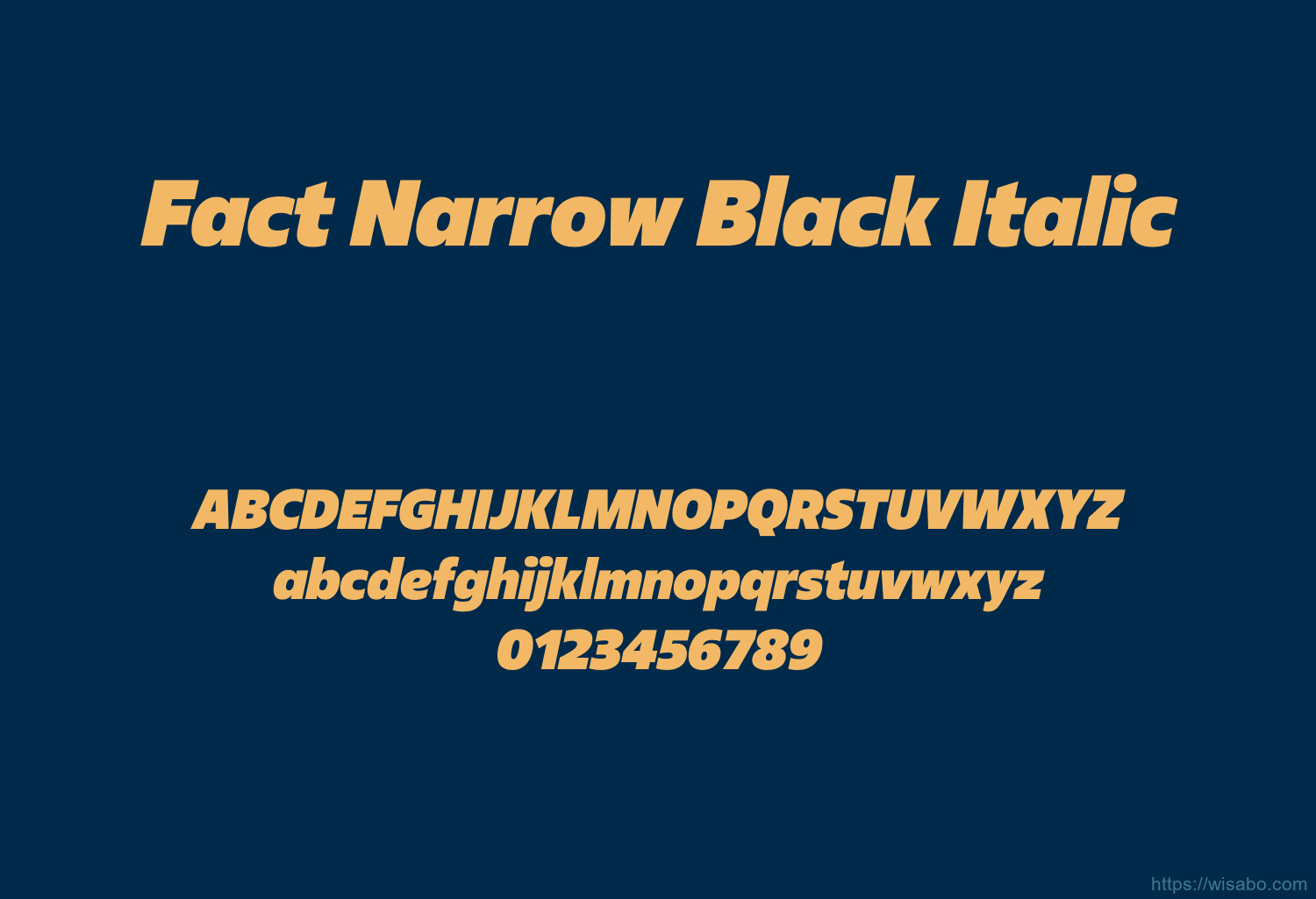 Fact Narrow Black Italic