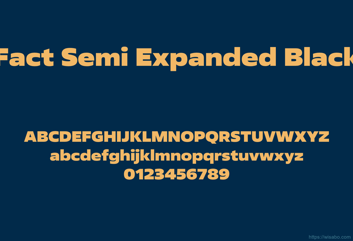 Fact Semi Expanded Black