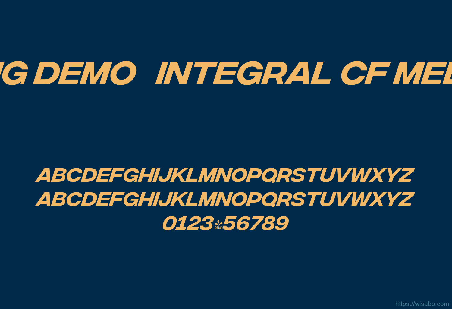 Fontspring Demo   Integral Cf Medium Italic