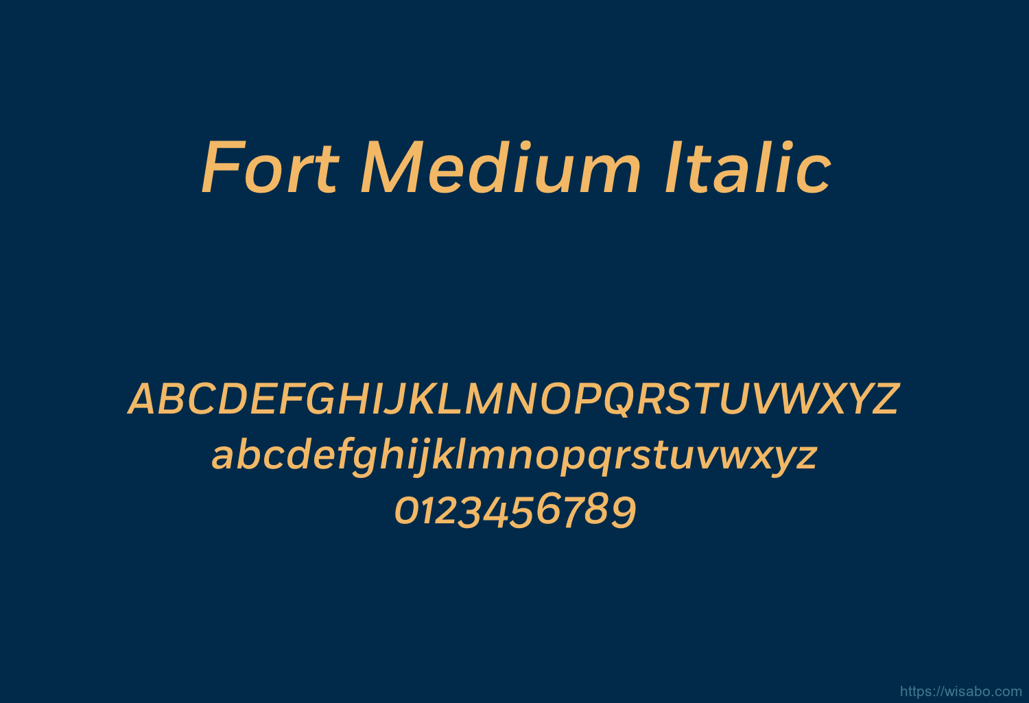 Fort Medium Italic