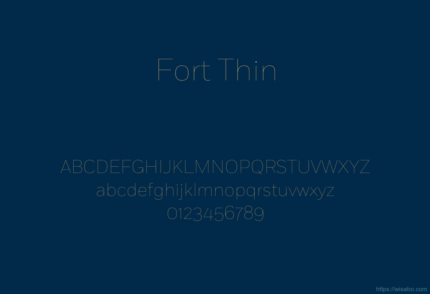 Fort Thin