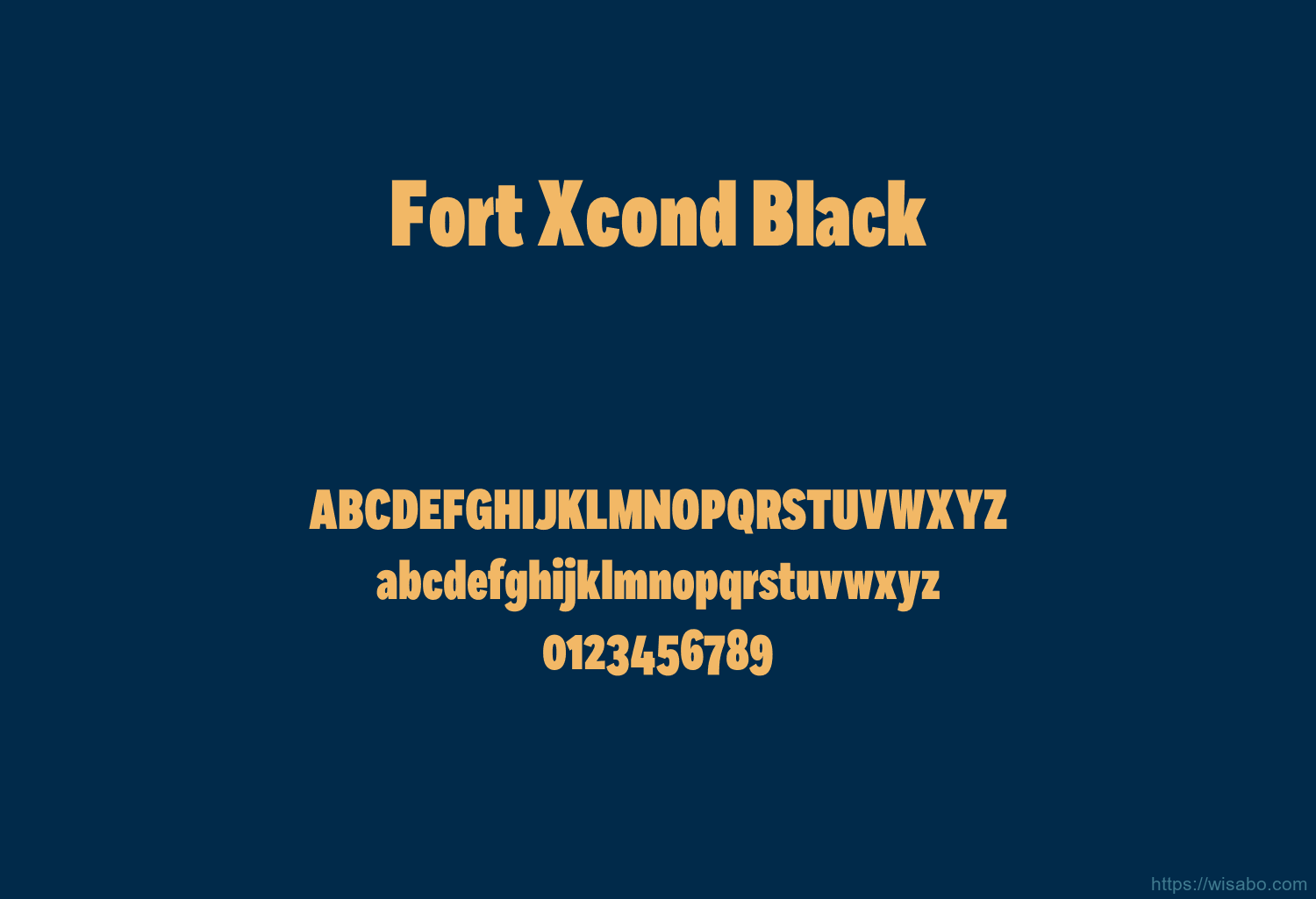 Fort Xcond Black