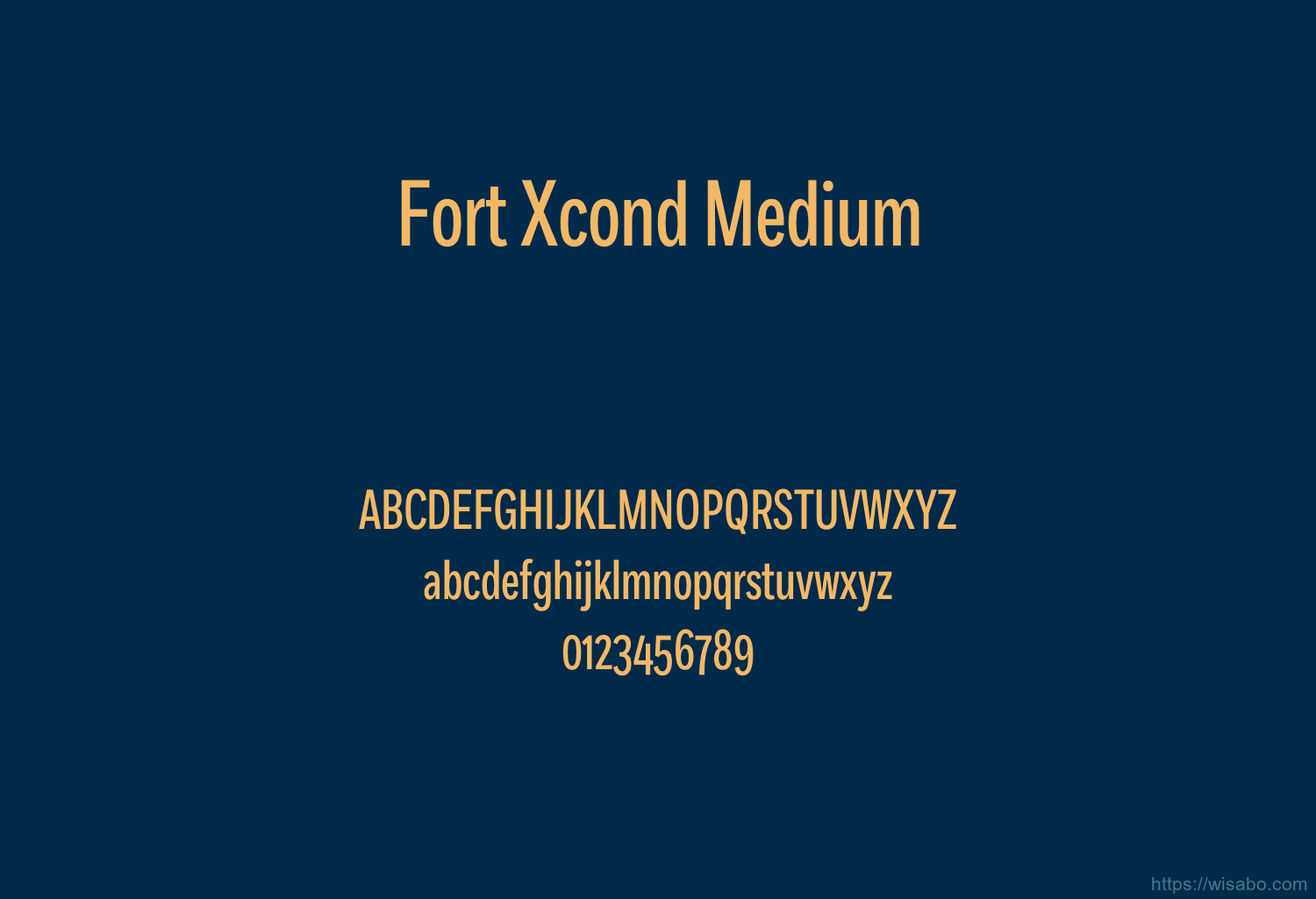 Fort Xcond Medium