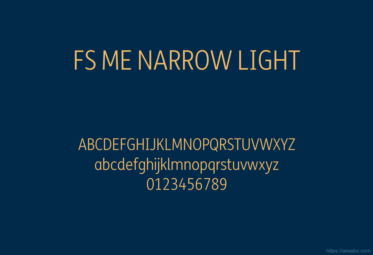 FS ME NARROW LIGHT