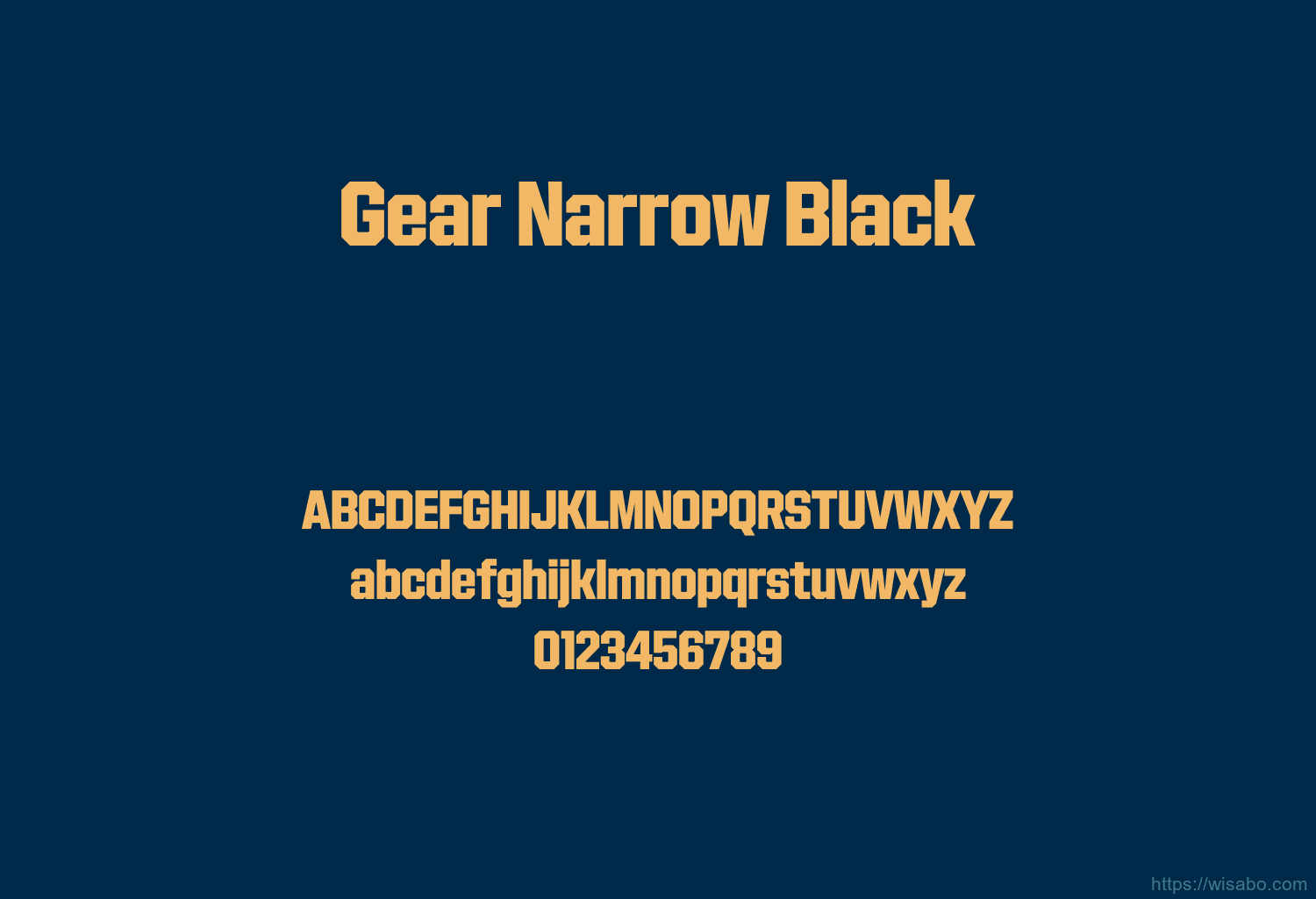 Gear Narrow Black