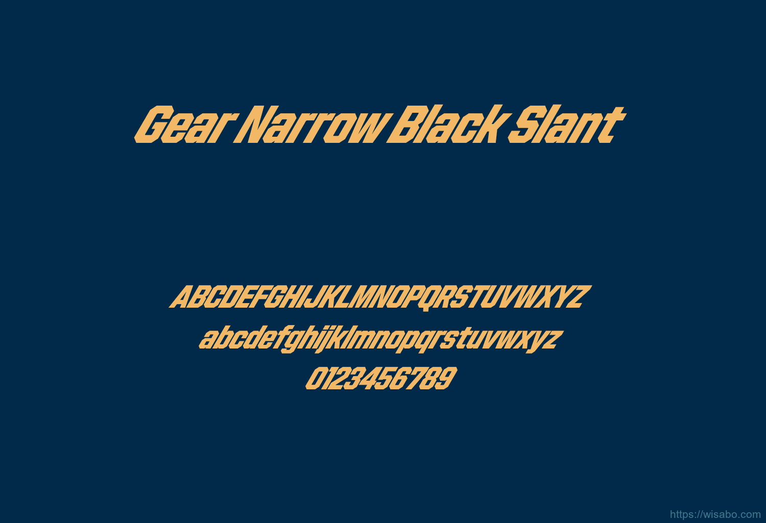 Gear Narrow Black Slant