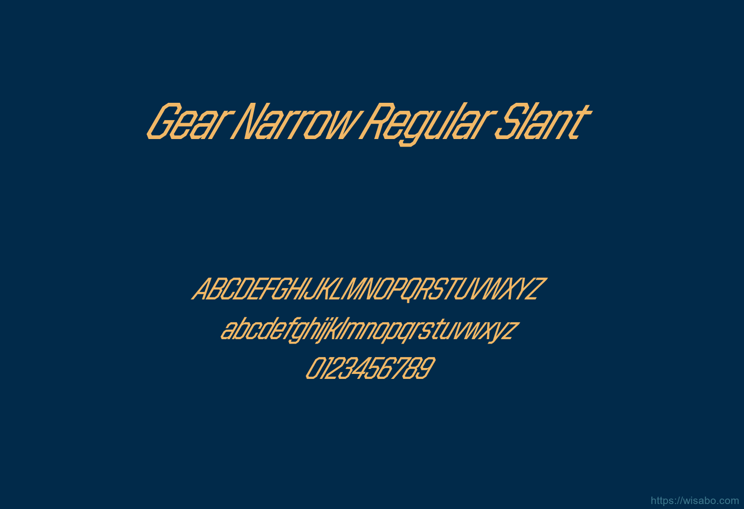 Gear Narrow Regular Slant
