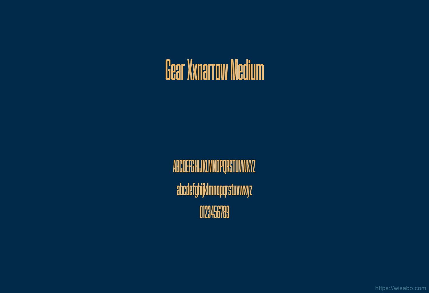 Gear Xxnarrow Medium