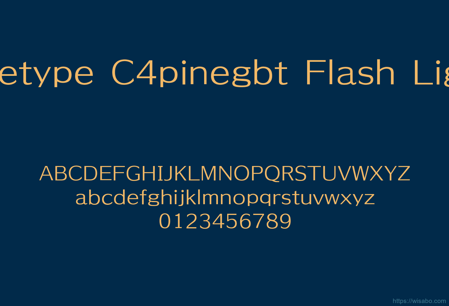 Geetype C4pinegbt Flash Light