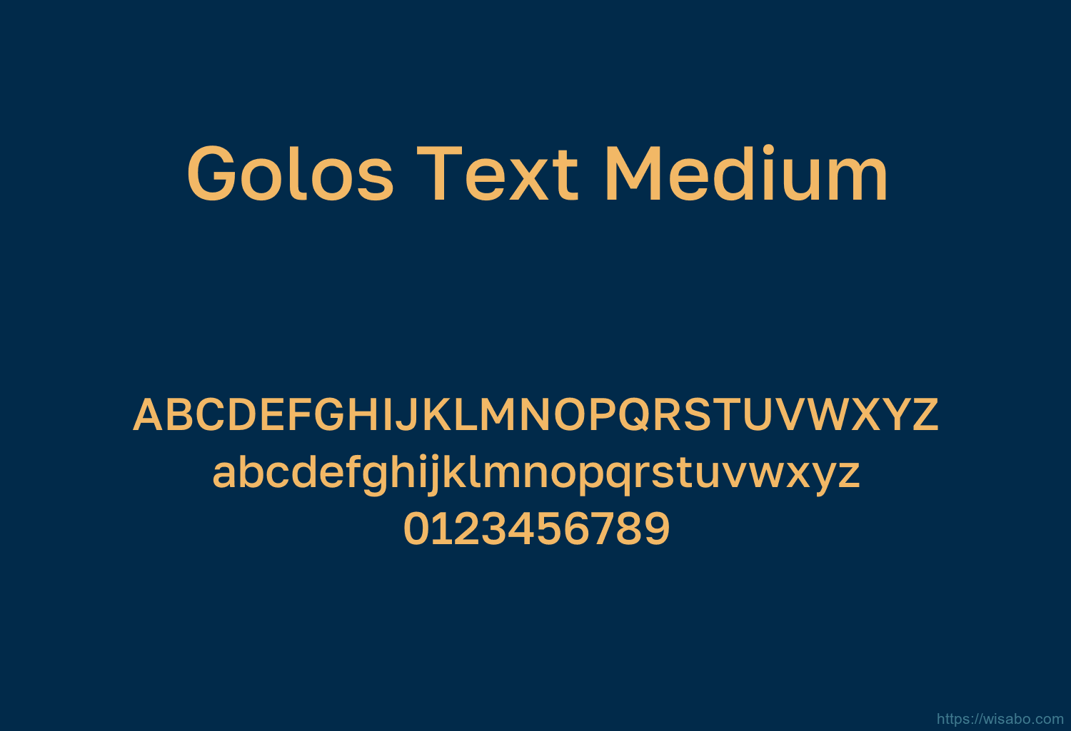 Golos Text Medium