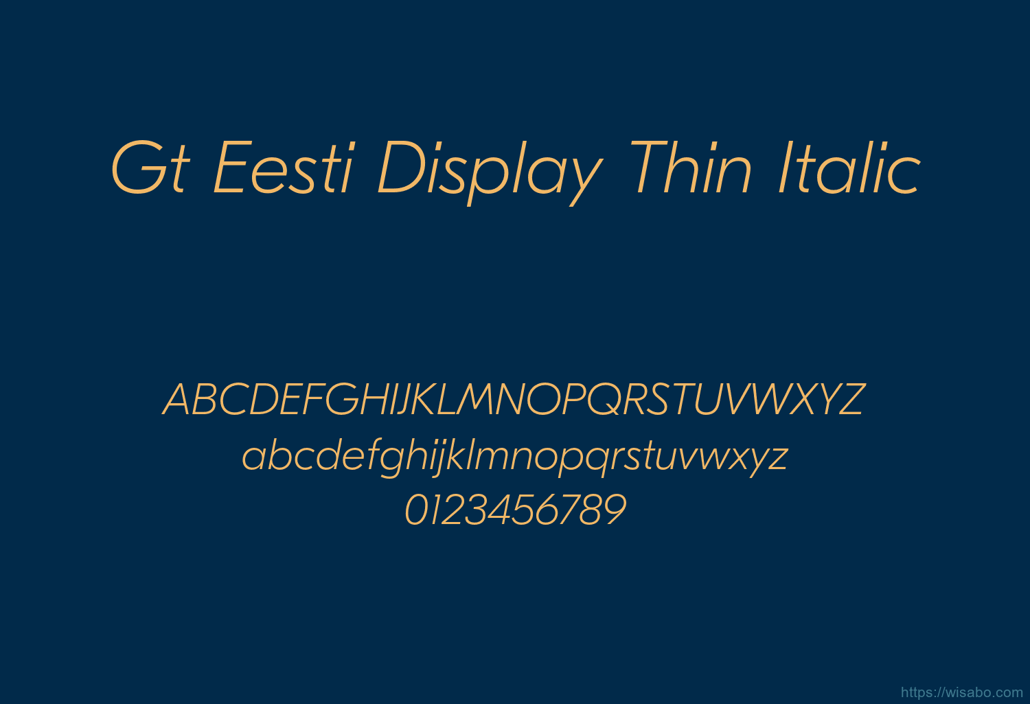 Gt Eesti Display Thin Italic