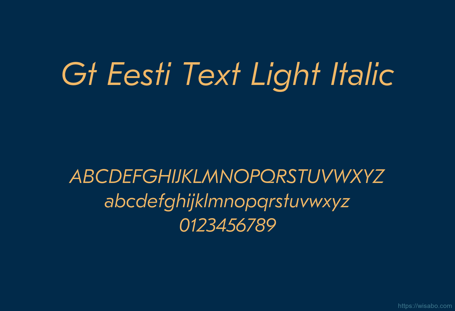 Gt Eesti Text Light Italic