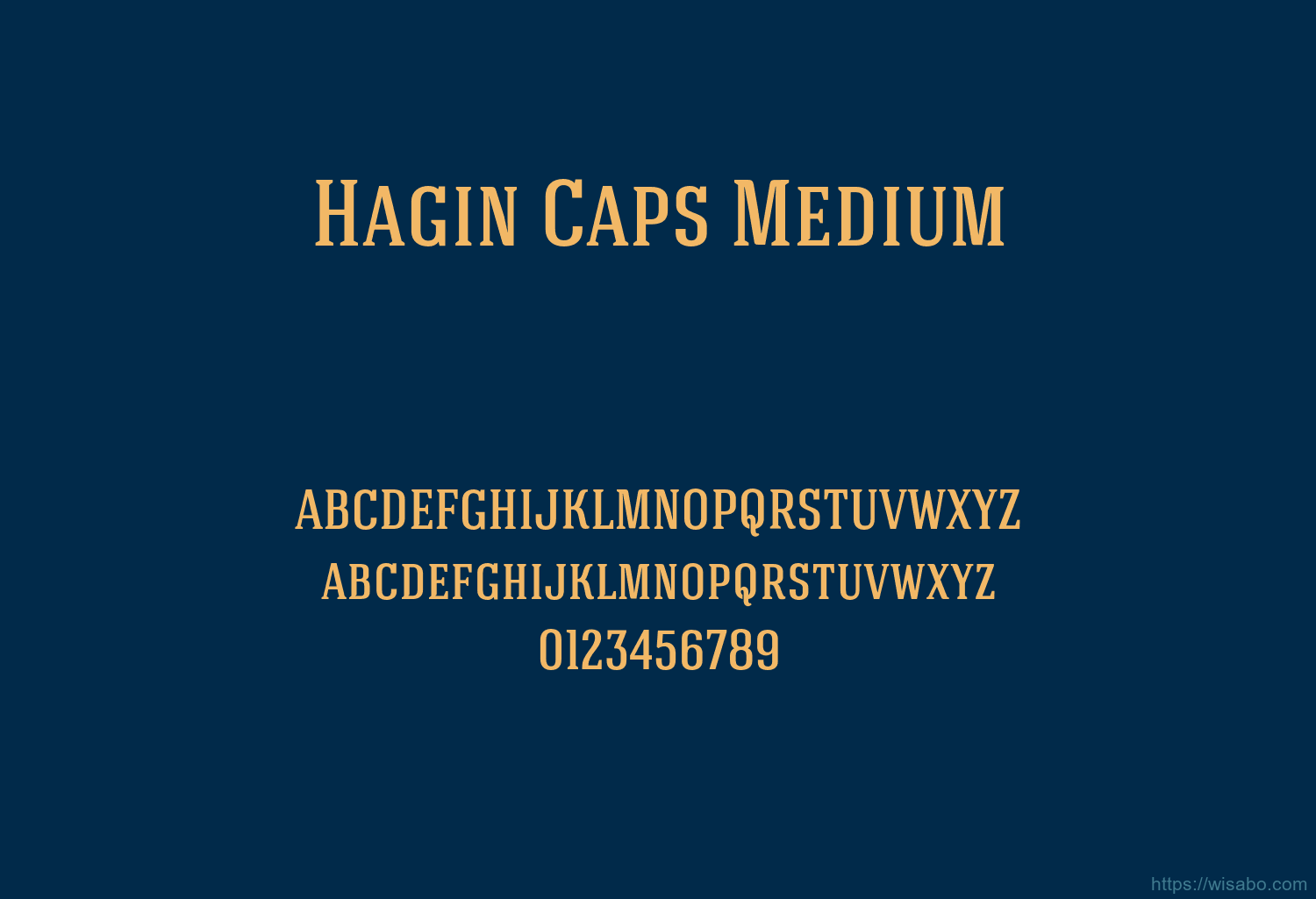 Hagin Caps Medium