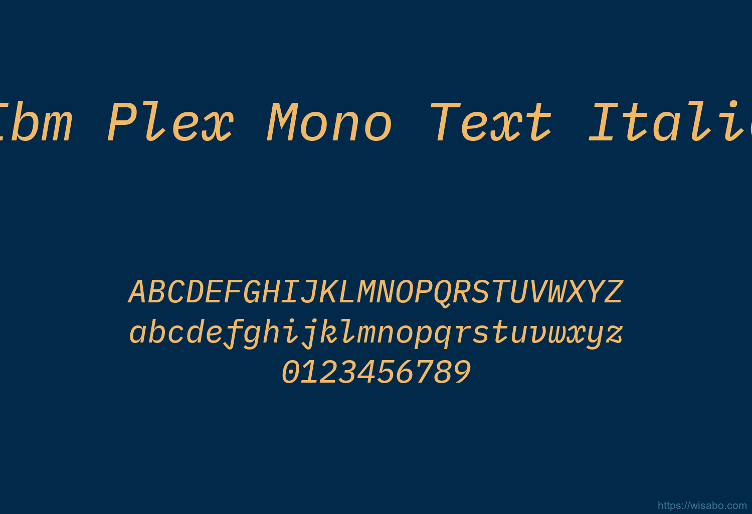 Ibm Plex Mono Text Italic