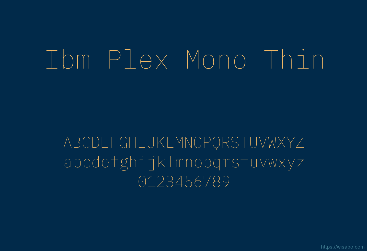 Ibm Plex Mono Thin
