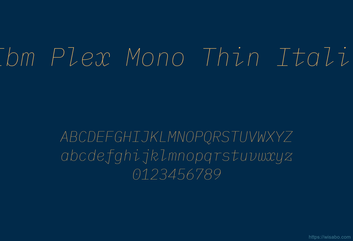 Ibm Plex Mono Thin Italic