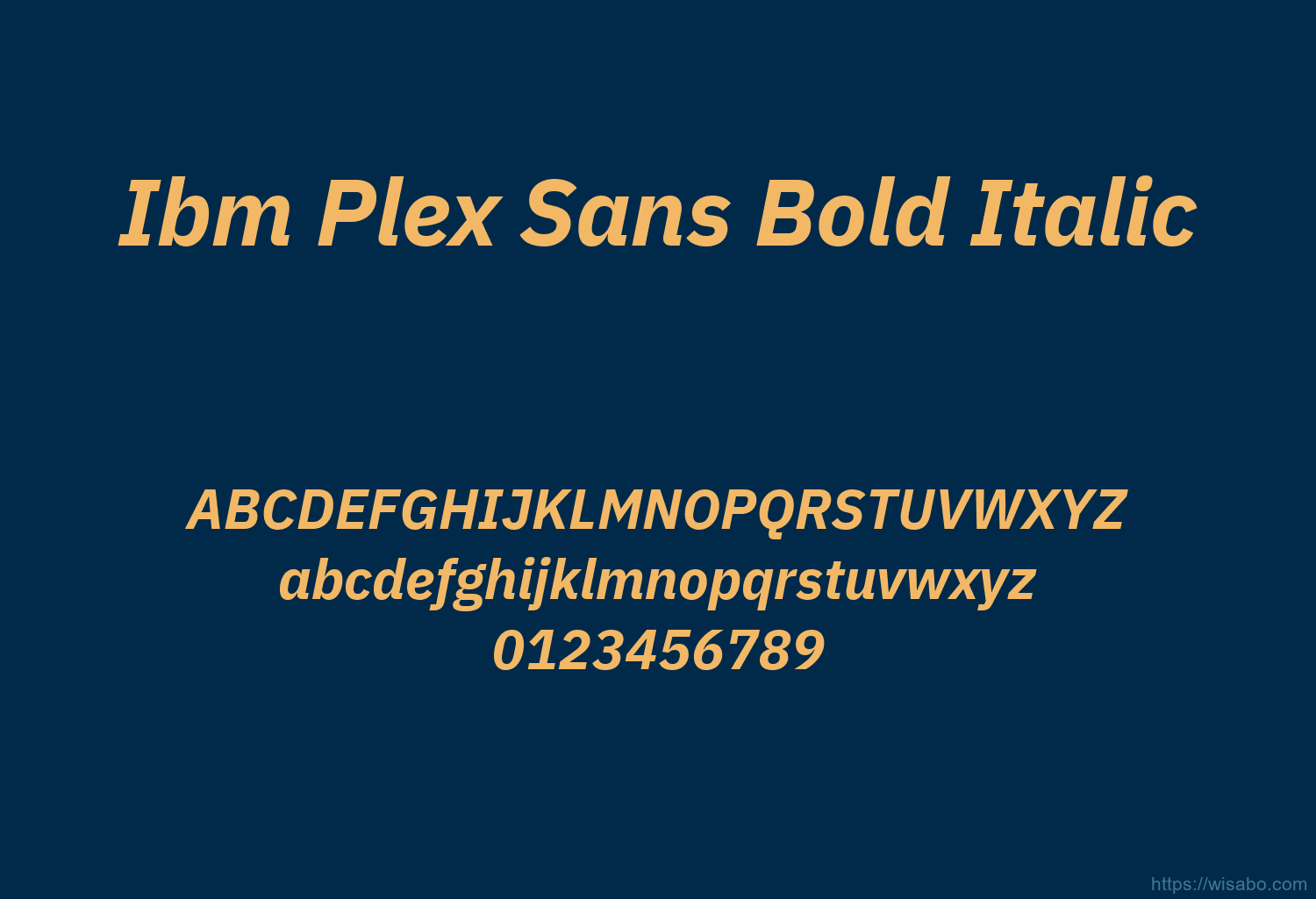 Ibm Plex Sans Bold Italic