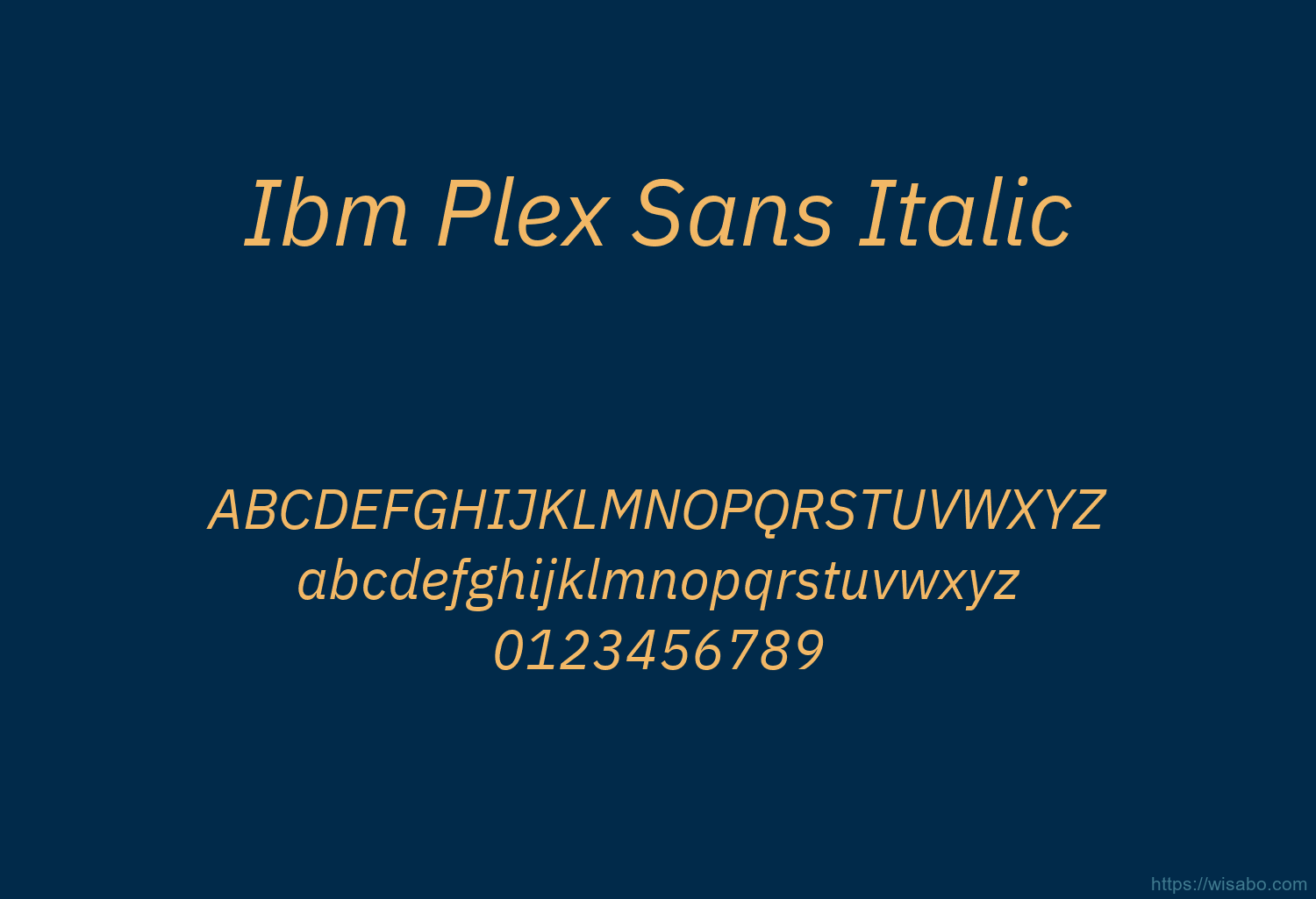 Ibm Plex Sans Italic