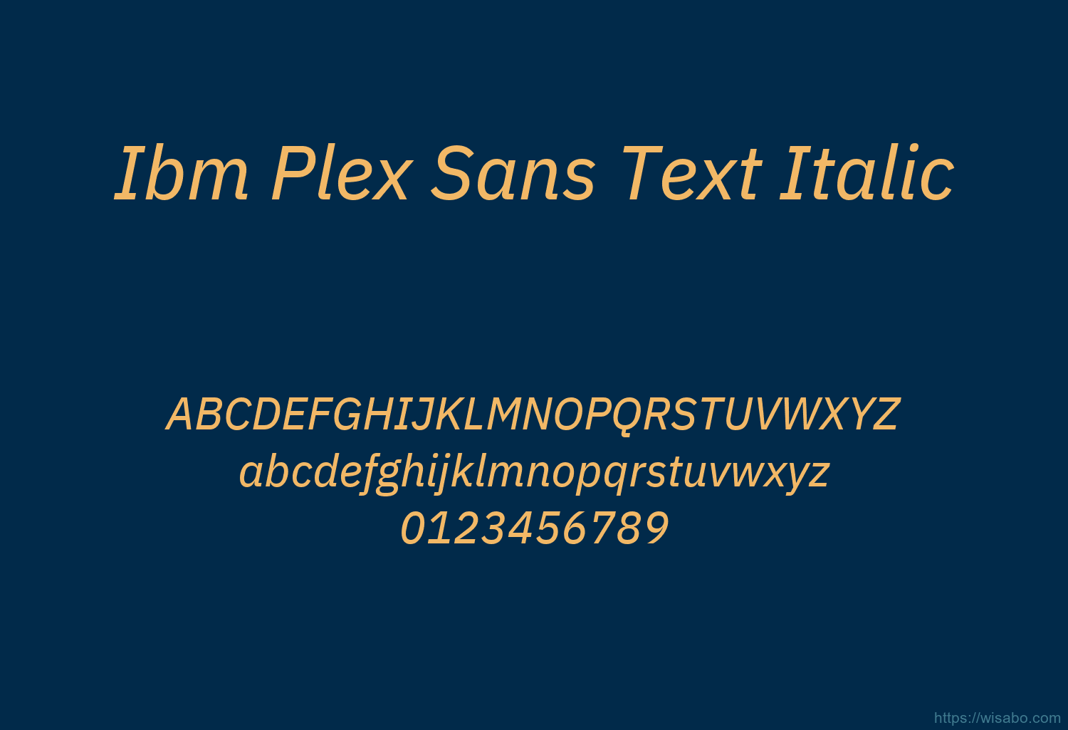 Ibm Plex Sans Text Italic
