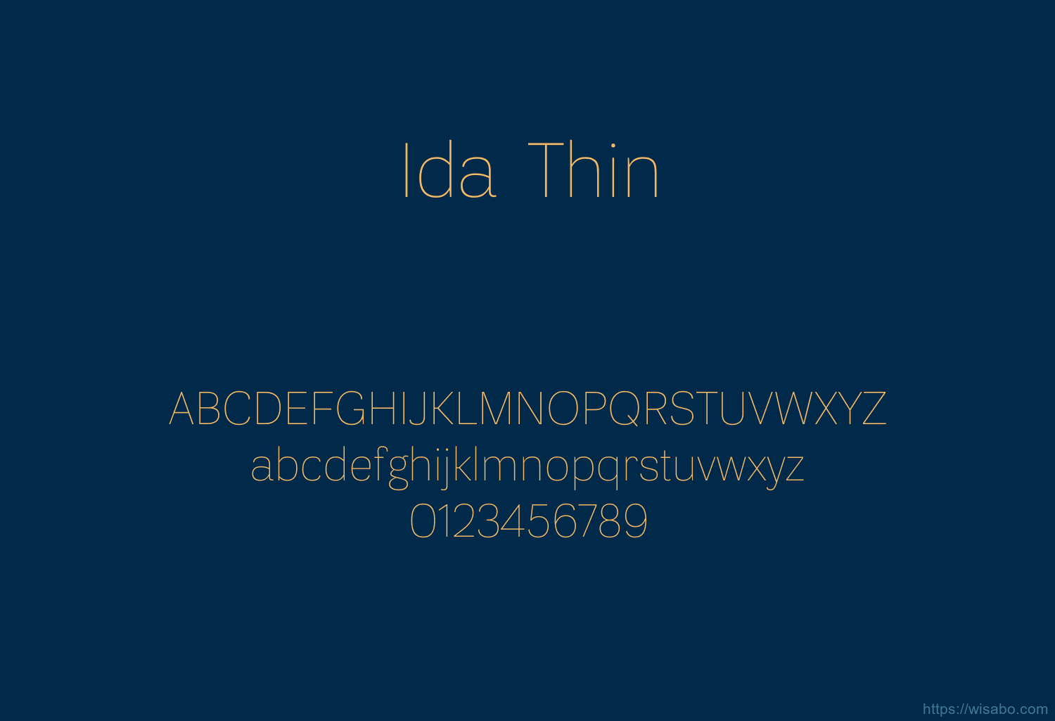 Ida Thin
