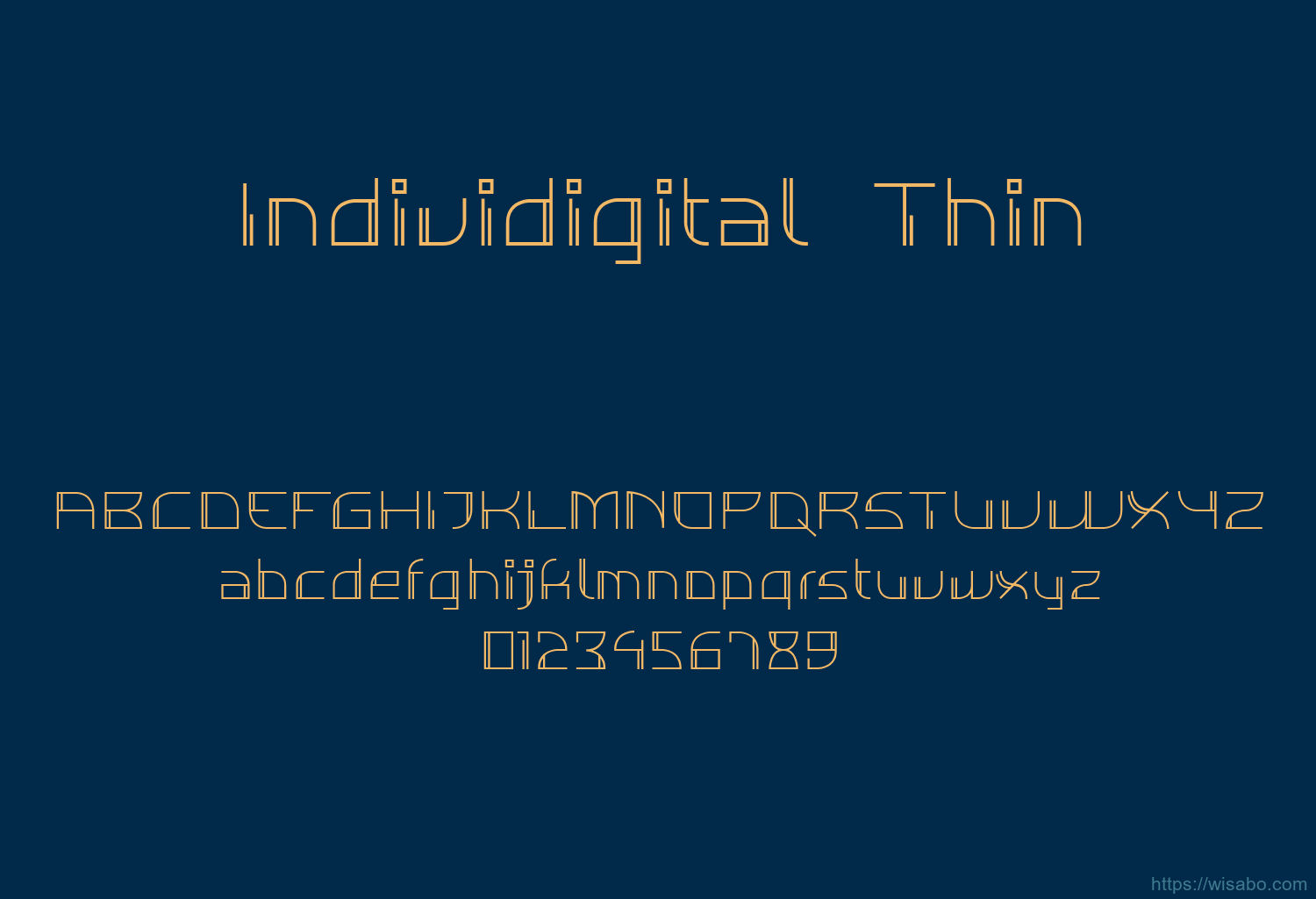 Individigital Thin