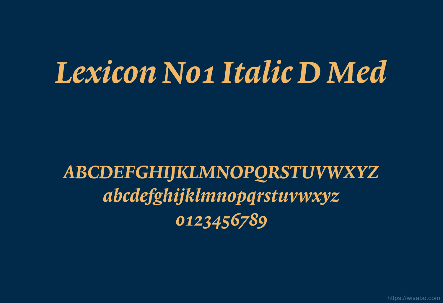 Lexicon No1 Italic D Med