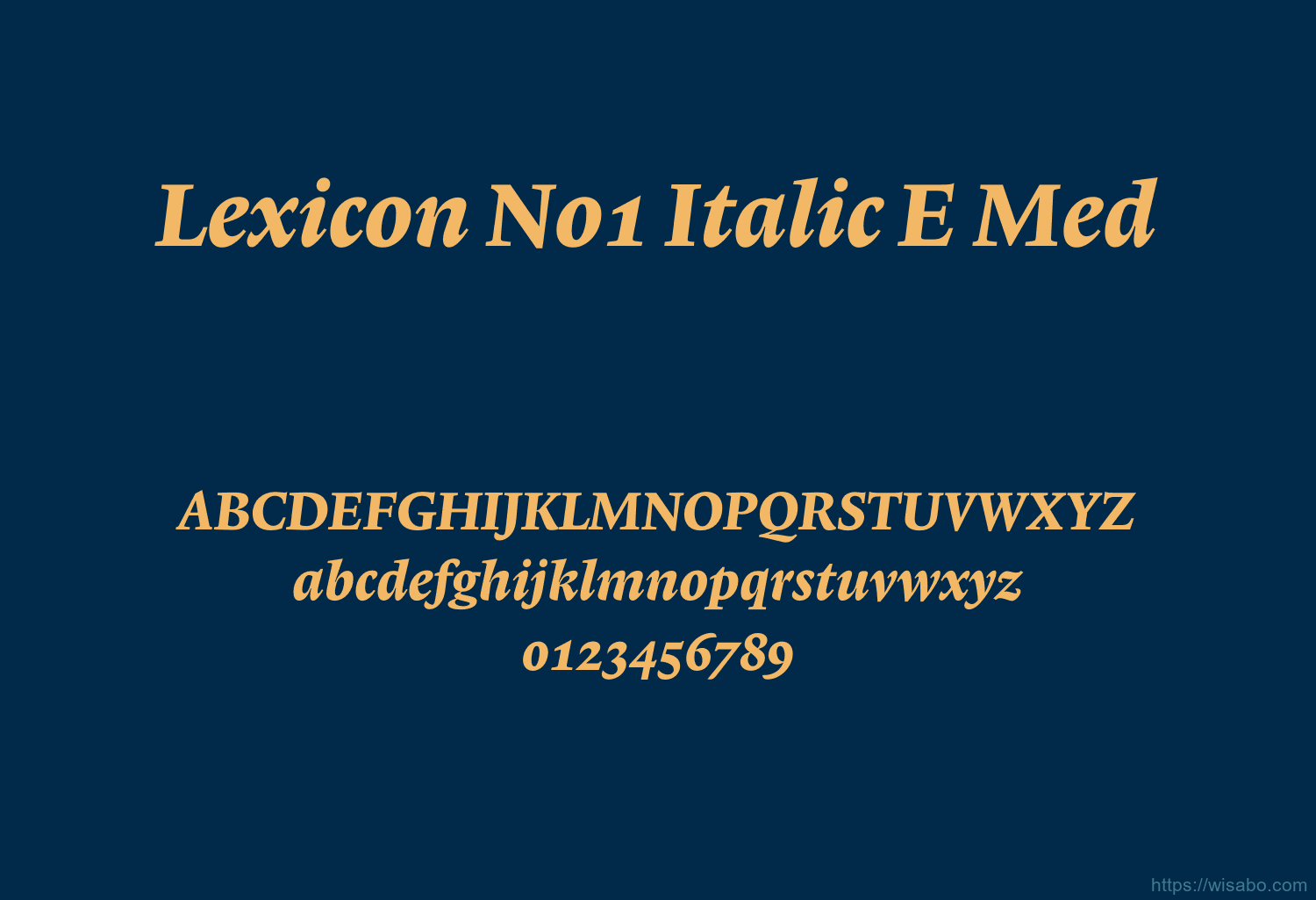 Lexicon No1 Italic E Med
