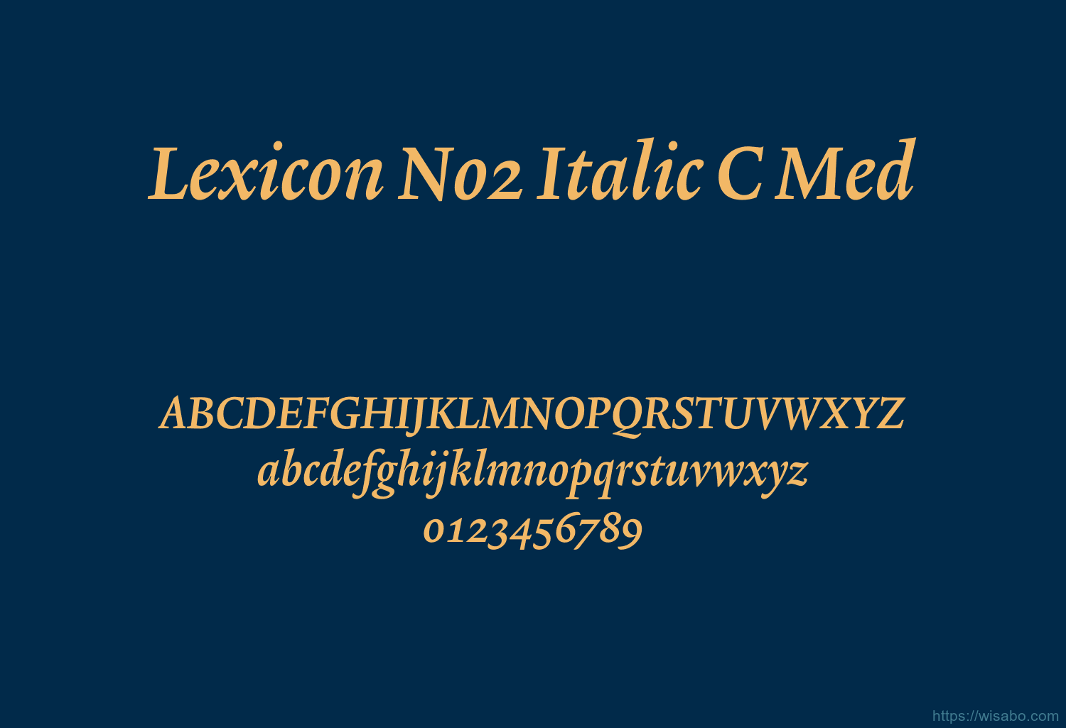 Lexicon No2 Italic C Med
