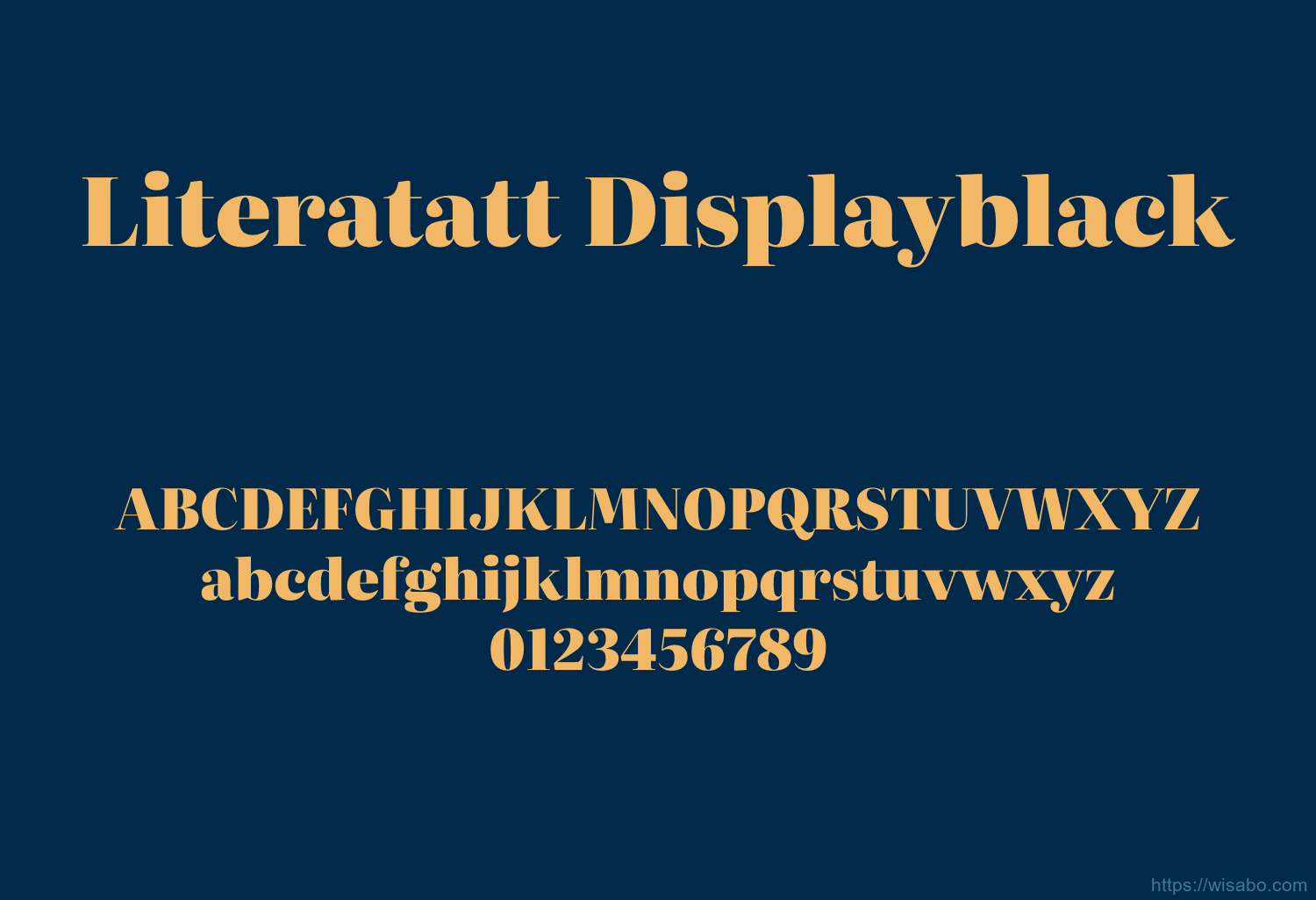 Literatatt Displayblack