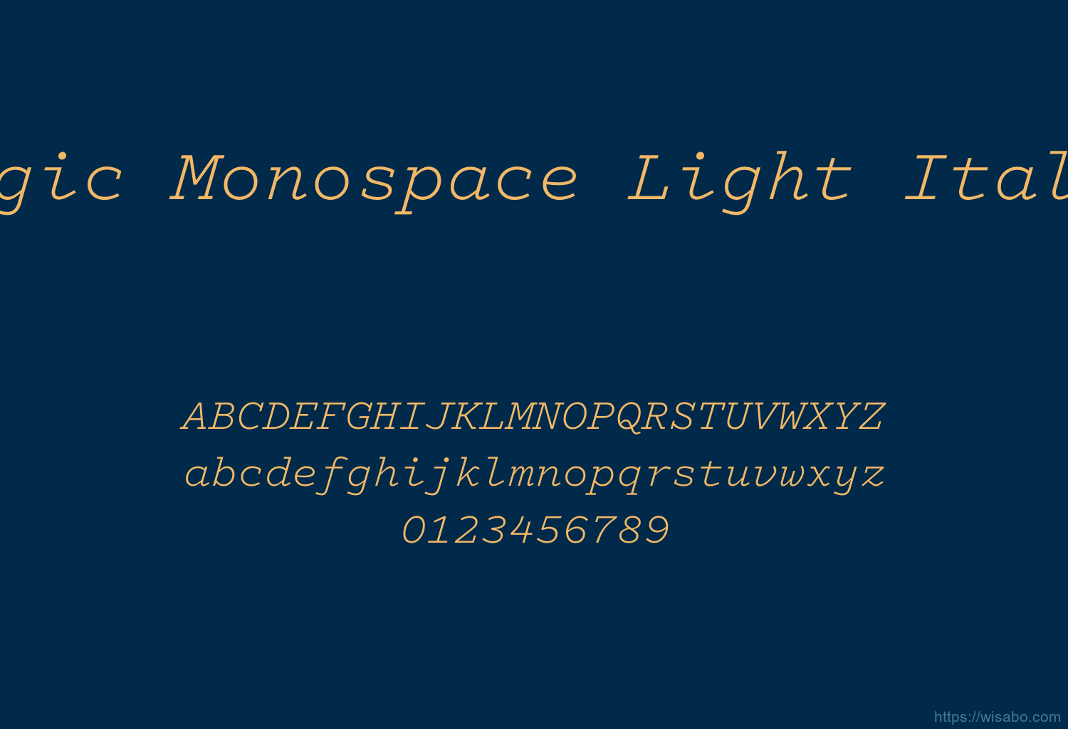 Logic Monospace Light Italic