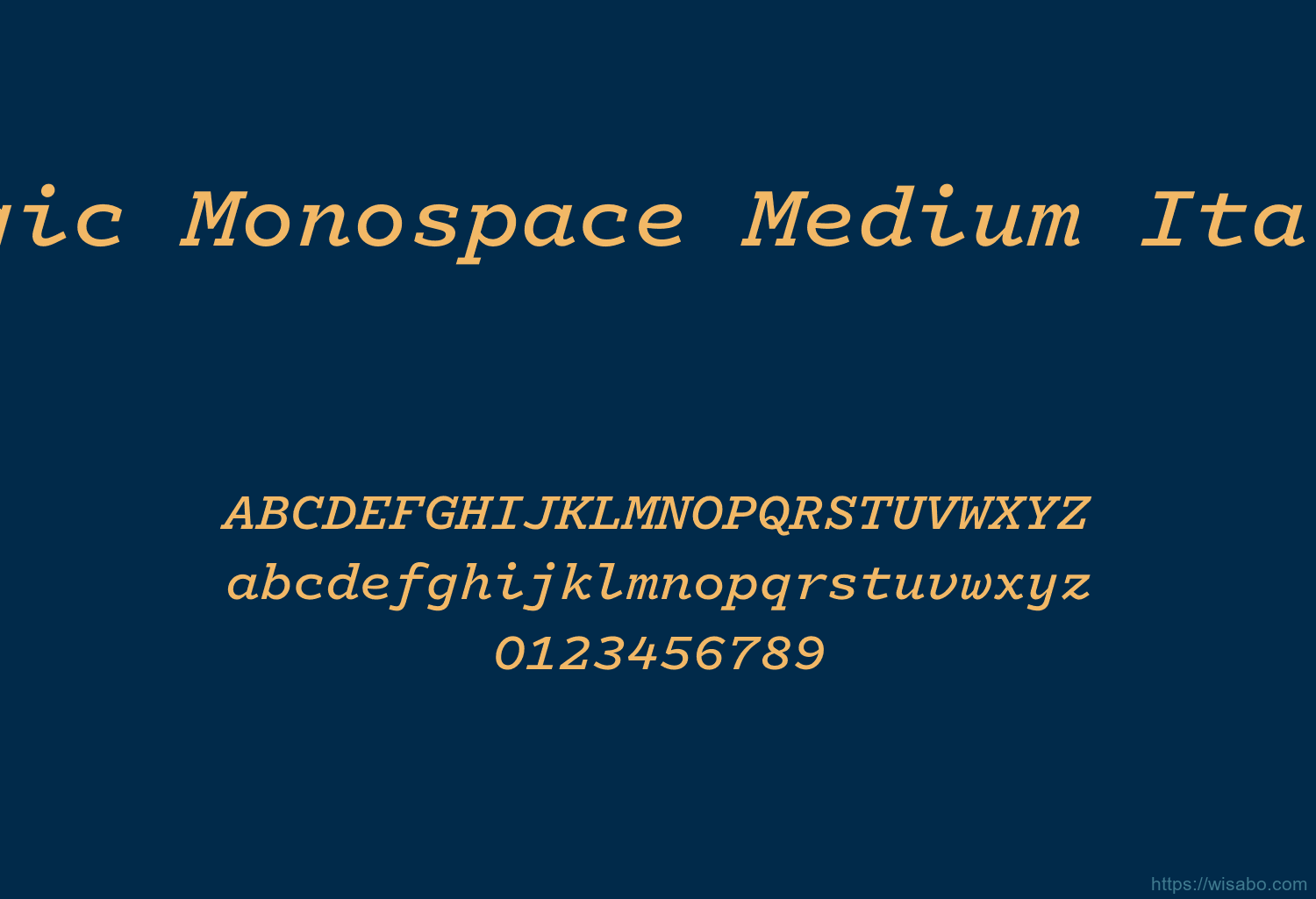 Logic Monospace Medium Italic