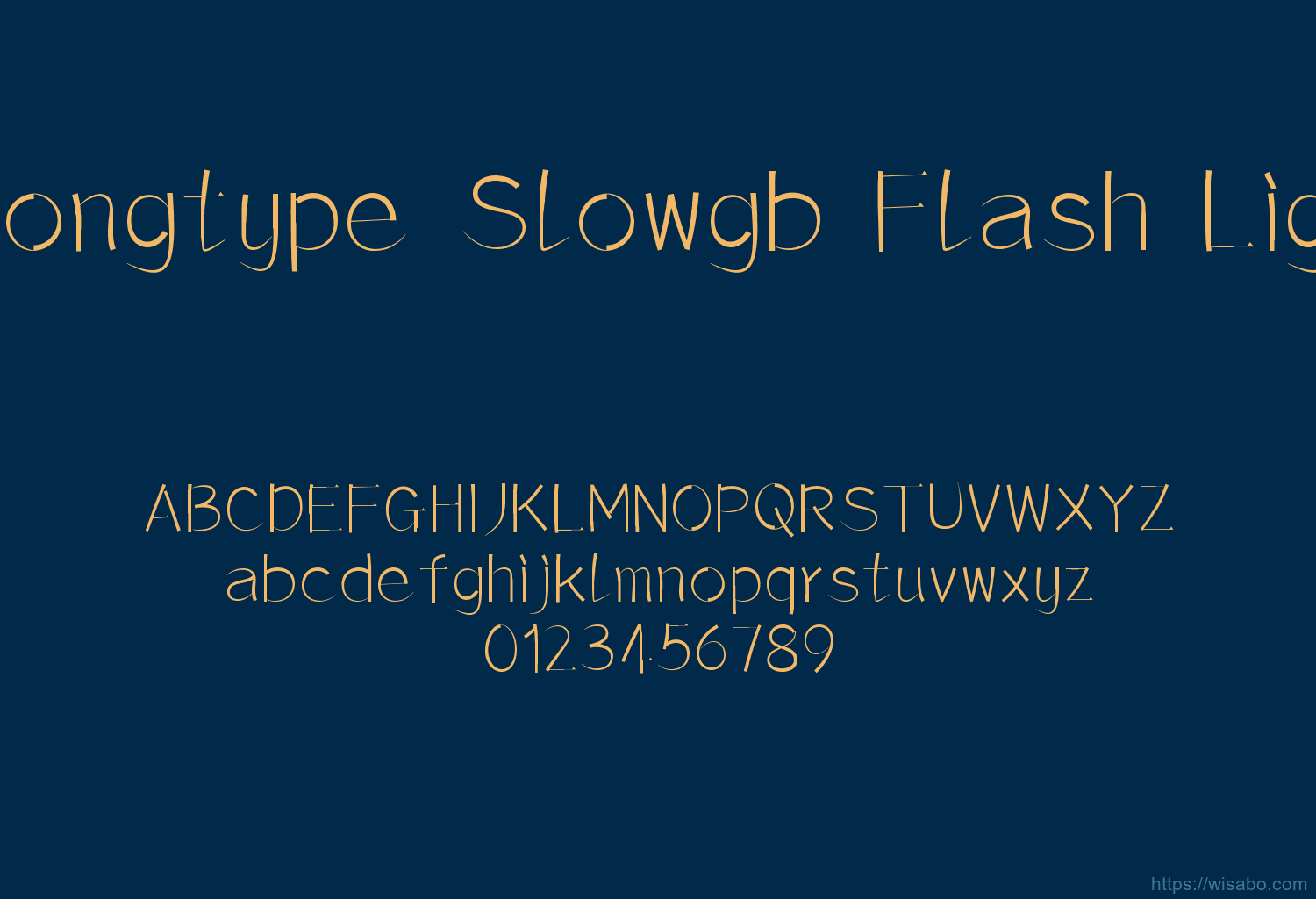 Loongtype Slowgb Flash Light
